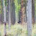 28-07-2016 Het besluit